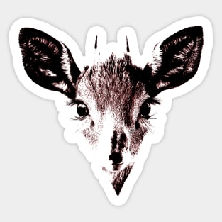 Baby deer Sticker